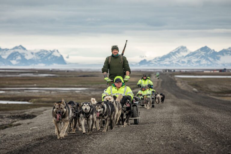 Green Dog Svalbard