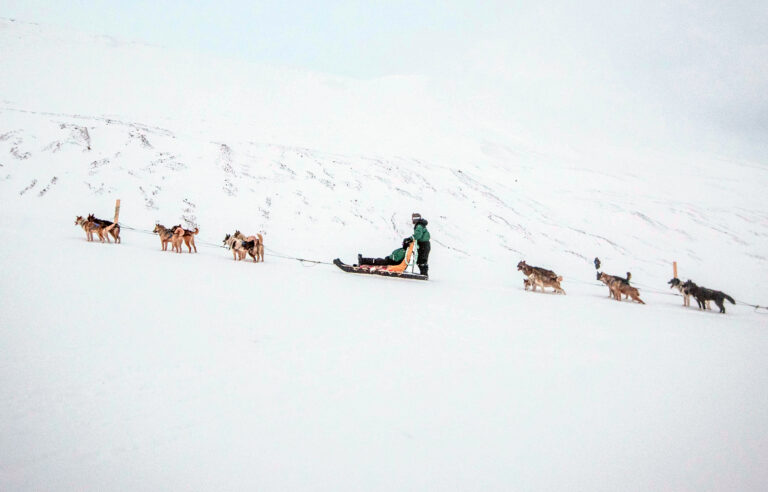 Halvdags hundesledetur i Bolterdalen NO