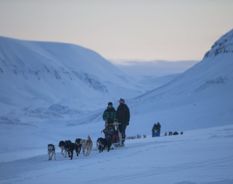 Med hundeslede til isgrotta NO