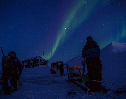 Hundekjøring til Foxdalen NO