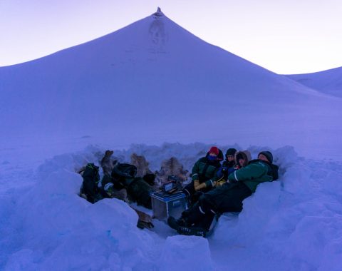 Med hundeslede til isgrotta NO