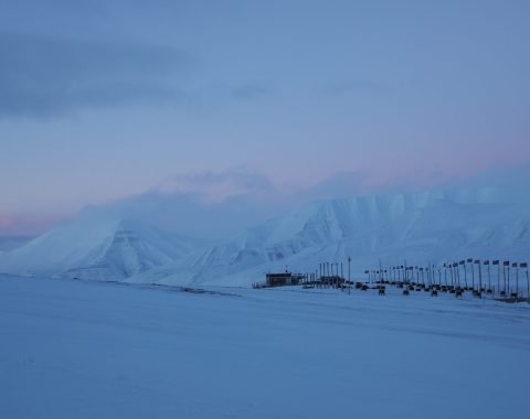 Halvdags hundesledetur i Bolterdalen NO