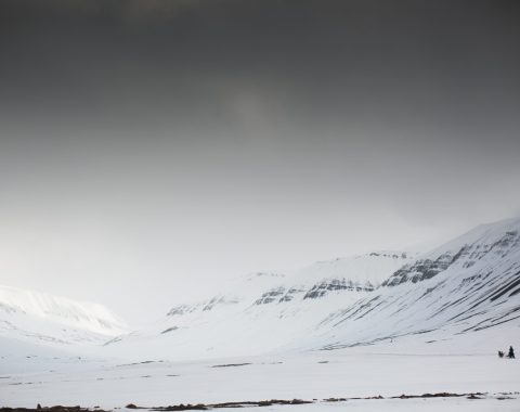 Hundekjøring i polarnatta NO