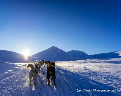 Med hundeslede til isgrotta NO