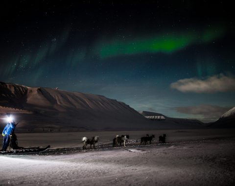 Nordlyssafari med hundespann NO