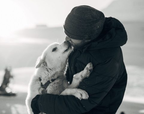 Green Dog Svalbard